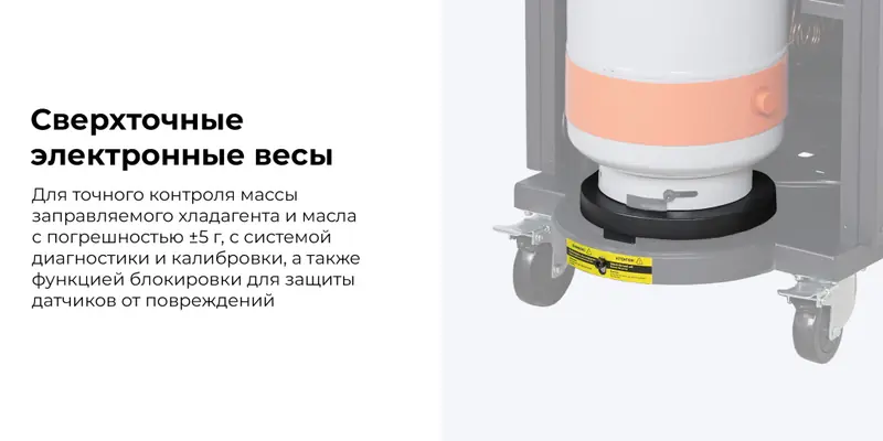 nf21_10_rich_details.jpg