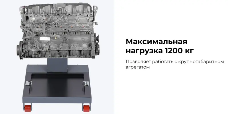N30120R.rich1.jpg N30120R.rich1.jpg