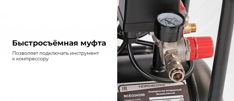 NCEO24250.rich3.jpg
