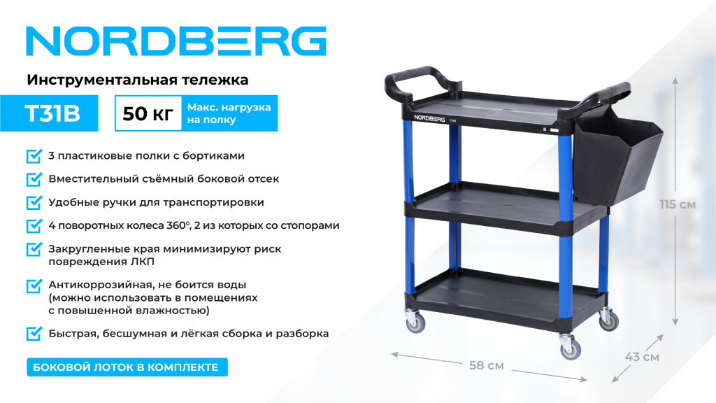 T31B_web_1.png