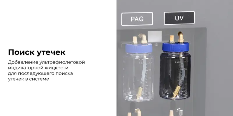 nf21_3_rich_details.jpg