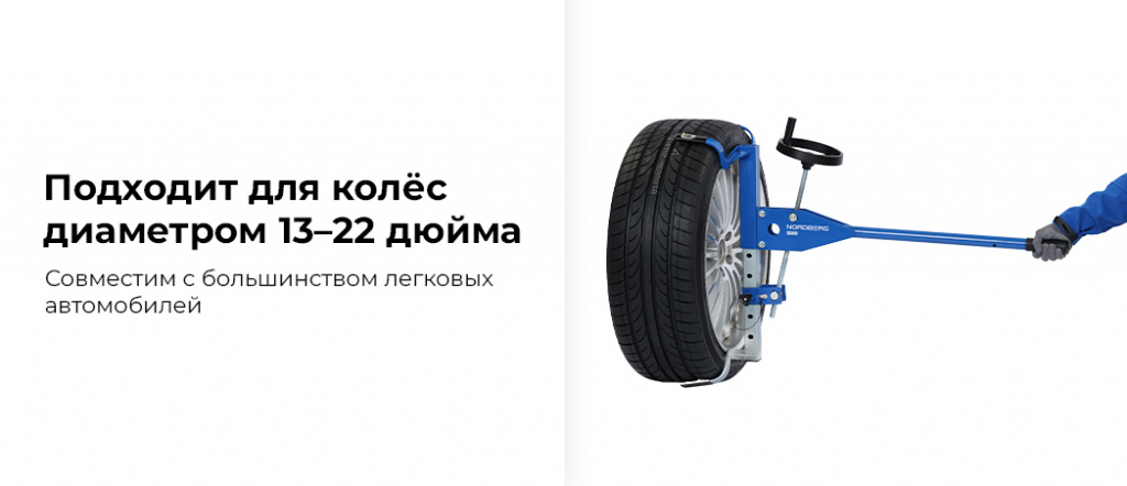 NTE20.rich1.jpg NTE20.rich1.jpg