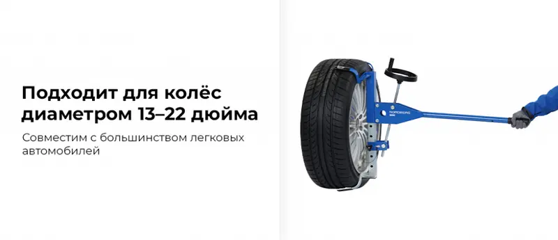 NTE20.rich1.jpg